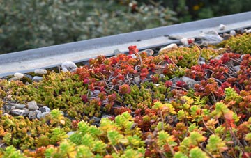 the cost of Odd Down green roof installation