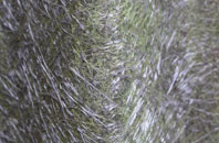 Odd Down fibreglass roof work